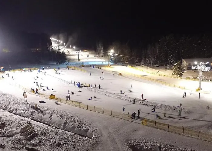 Pohoda Lipno Lejlighed *